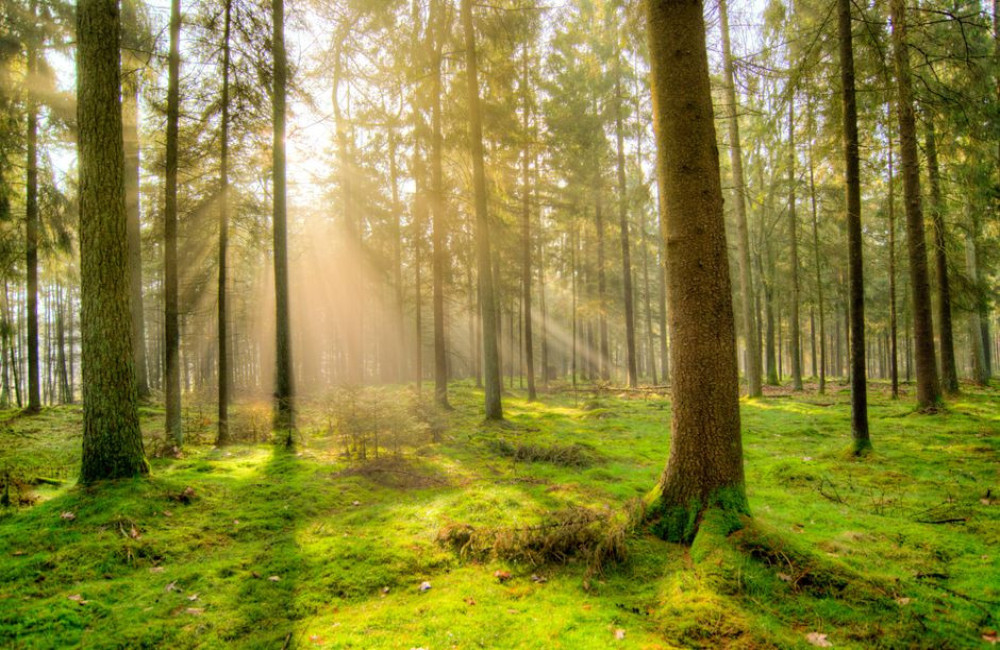 Natuurvakanties: 9 tips en de mooiste bestemmingen voor natuurliefhebbers