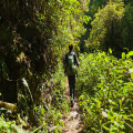 Dol op wandelen? Leg vast dat je op een natuurbegraafplaats begraven wilt worden!