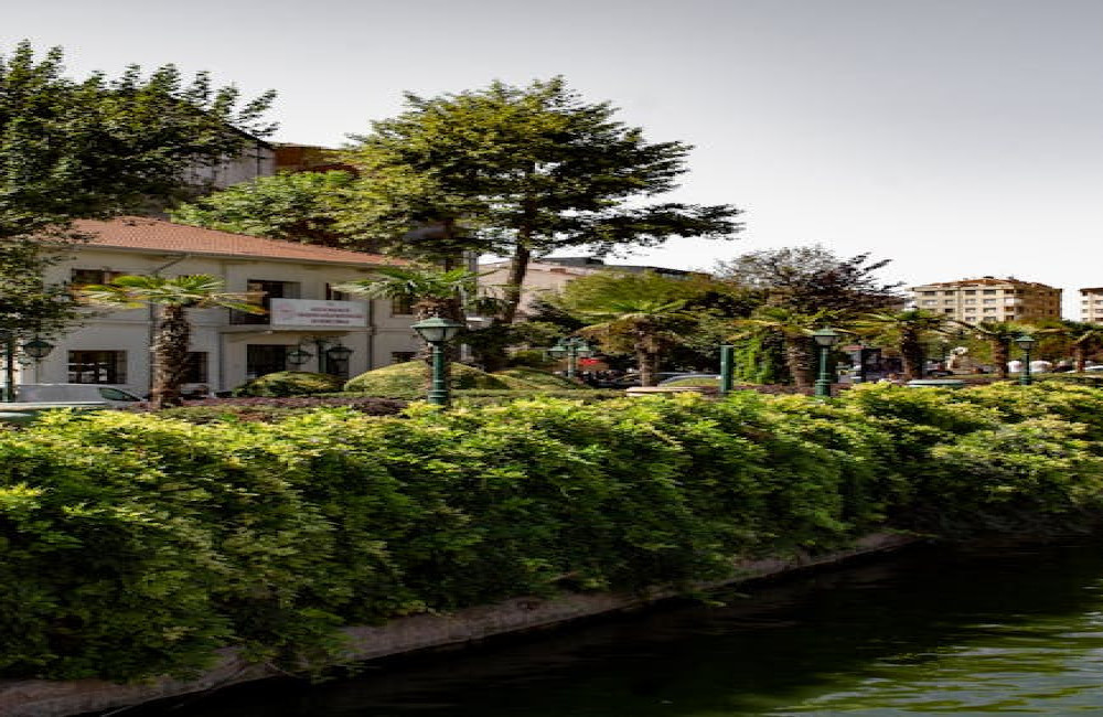 Hoe herken je een dassenburcht in het bos