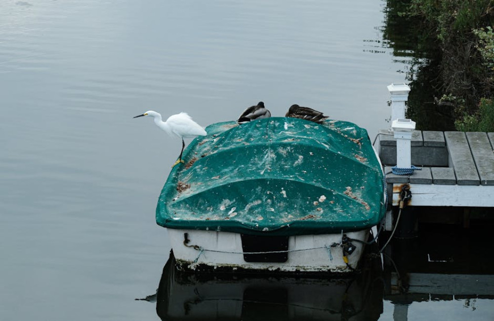 Wat is het belang van biodiversiteit in je eigen tuin?