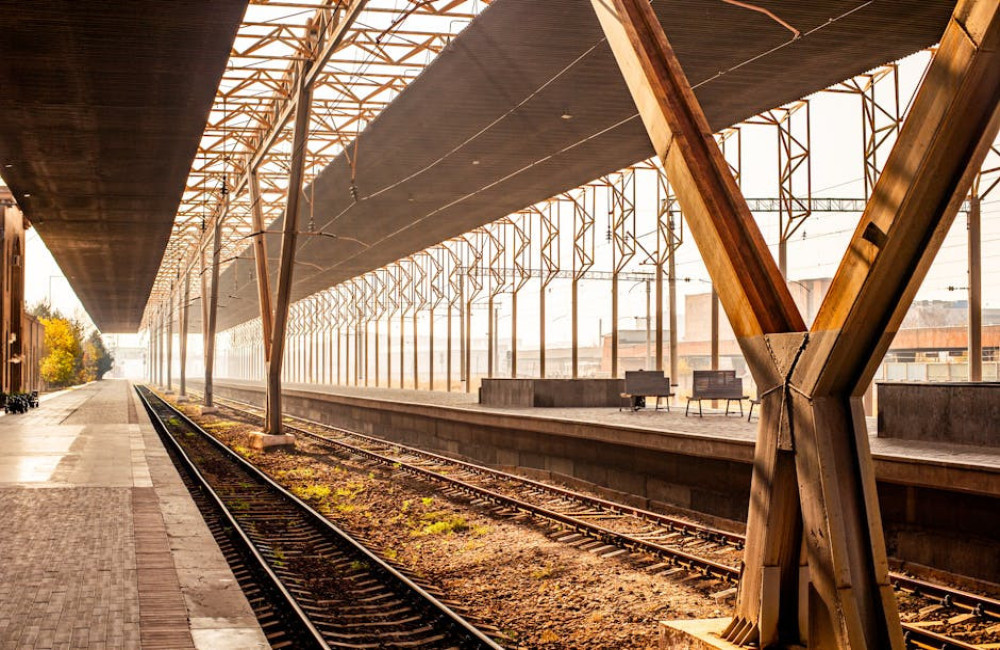 Hoe herken je sporen van wilde dieren in het Belgische bos