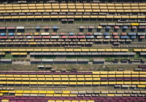 Hoe herken je dierensporen in de sneeuw in België en wat vertellen ze?