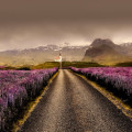 De prachtige natuur rond Reykjavik