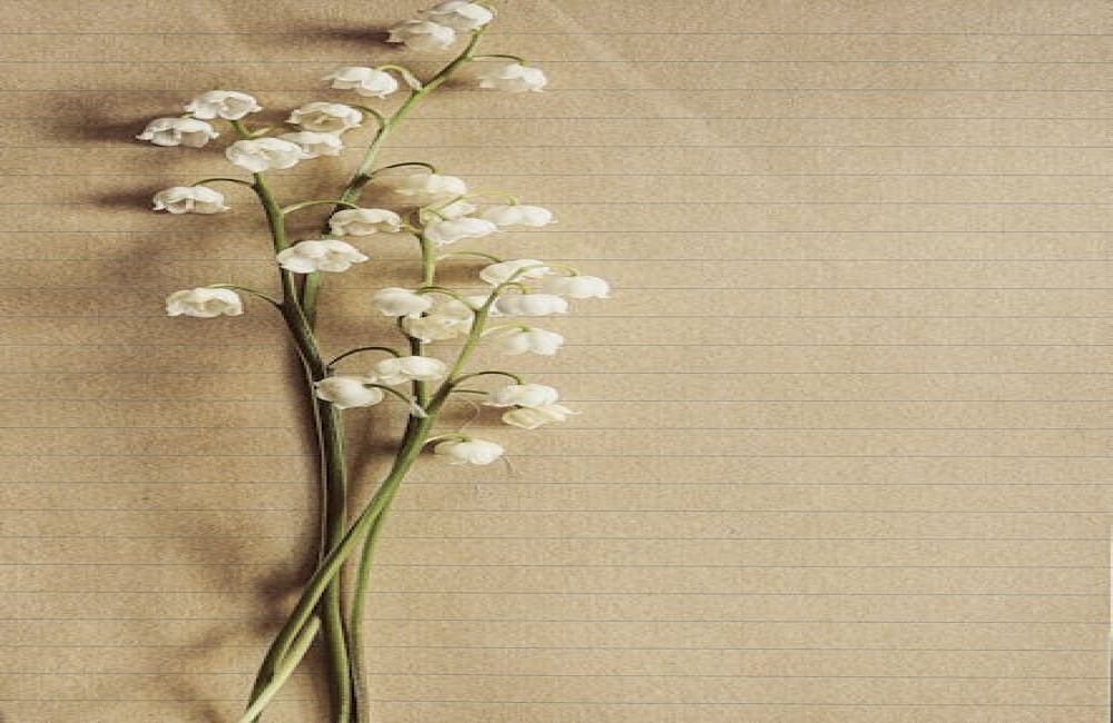 Hoe beïnvloedt klimaatverandering wilde bloemen in Nederland