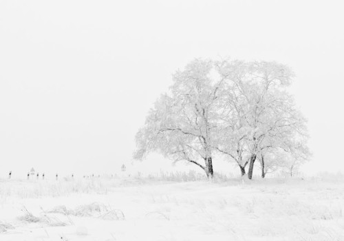 Waarom sneeuwt het soms terwijl de temperatuur boven het vriespunt ligt?