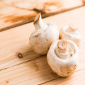 Hoe helpen paddenstoelen bij het herstel van beschadigde ecosystemen?