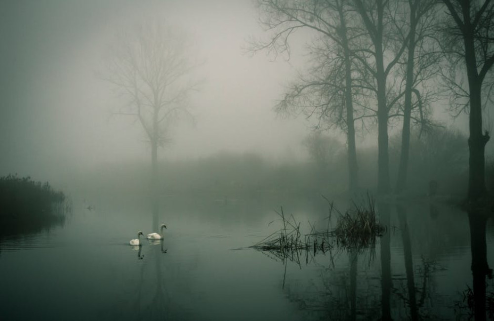 Wat is het verschil tussen mist en nevel? Uitleg over de twee weertypes